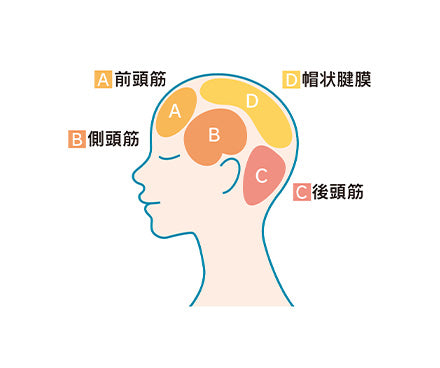 IMPHY SCALP RELEASER (インフィ スカルプリリーサー)