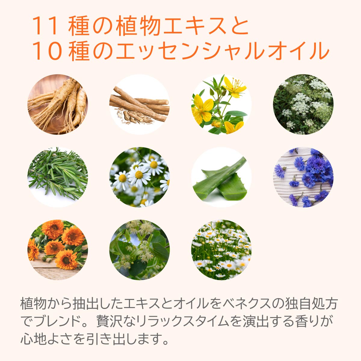 【VENEX】バイタライズゲル ＜ボディマッサージジェルクリーム＞