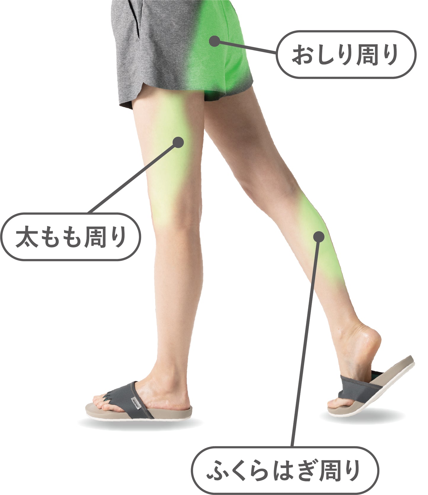 五本指エクサルームサンダル